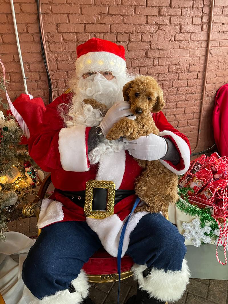 Rosie being held by Santa Claus.
