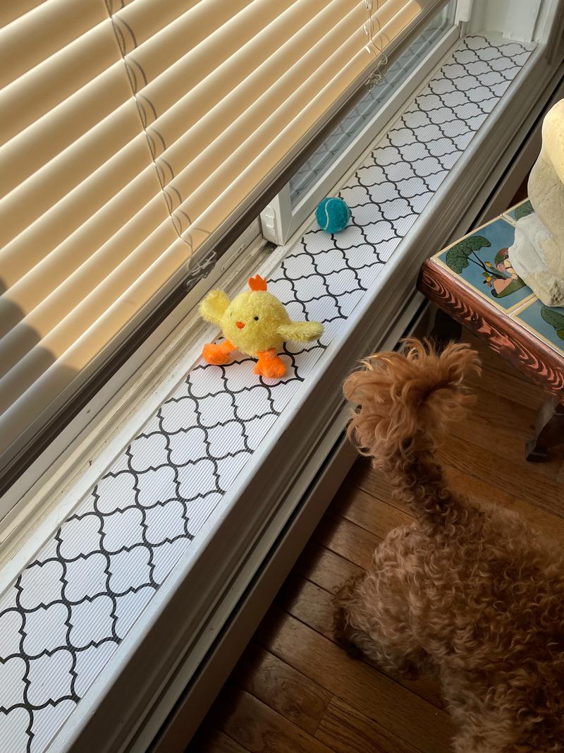 Two dog toys sitting where Rosie left them, on a window sill. Rosie's tail is also visible.